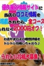 口コミ投稿2,000円オフ‼